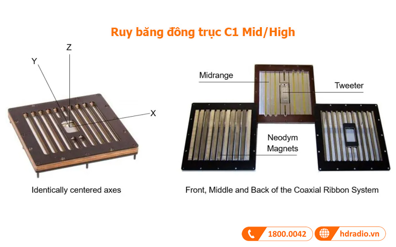 Trình điều khiển loa Piega C1 coaxial ribbon