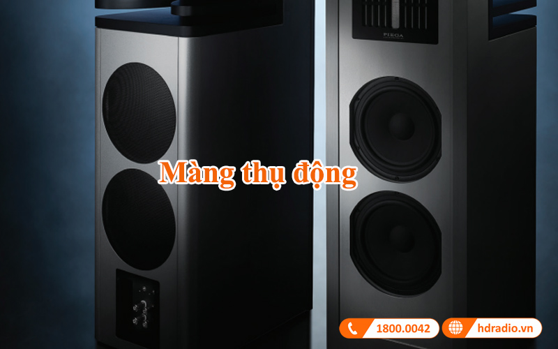 mang thu dong loa piega master line source 2