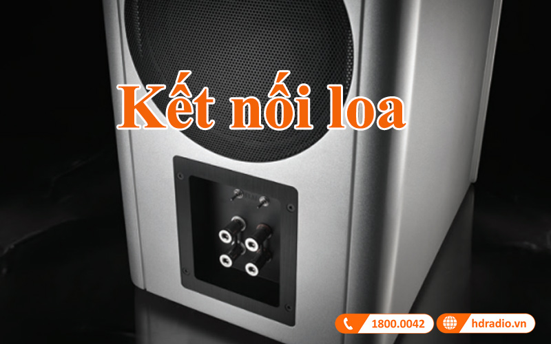 ket noi loa piega master line source 2