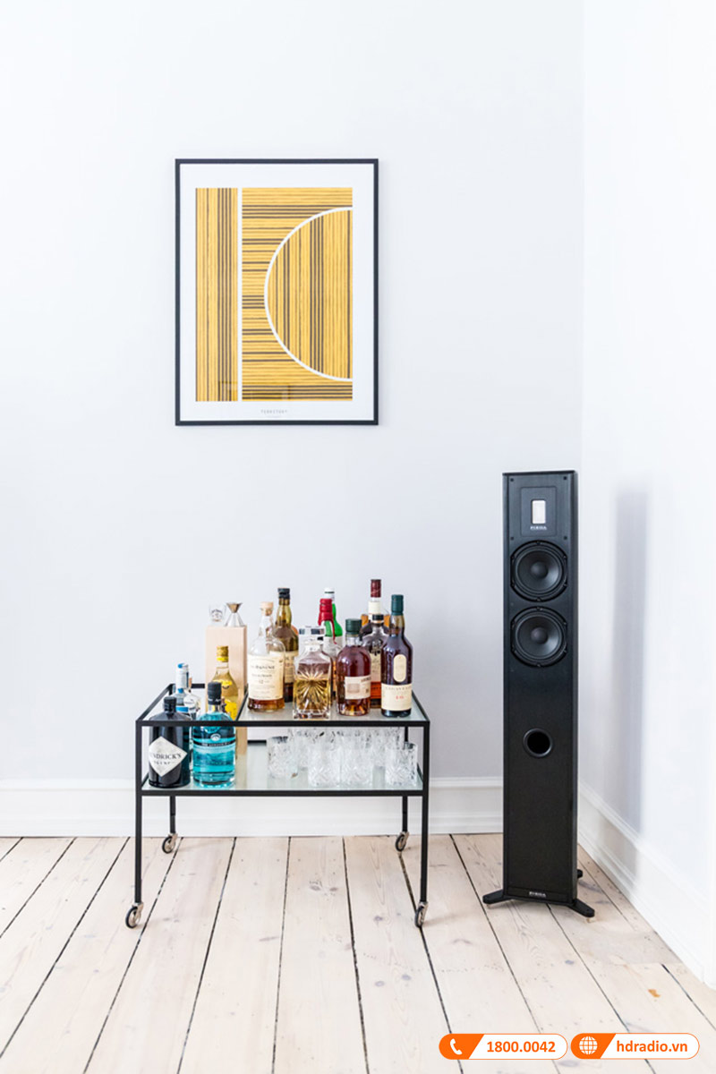 Công nghệ âm thanh Piega