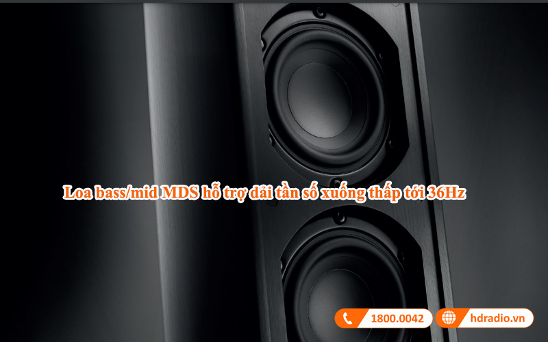 loa bass mid loa dung piega premium 501