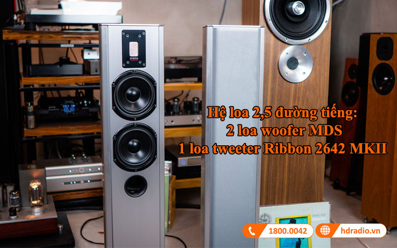 am thanh loa dung piega premium 52