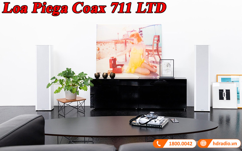 loa piega coax 711 ltd