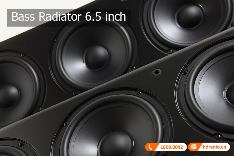 Bass Radiator Loa Polk Audio T50