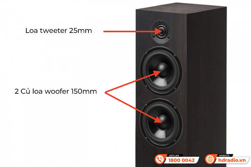 Loa Pro-Ject Speaker Box 10 DS2