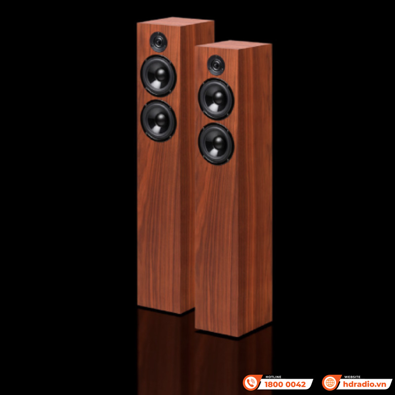 Loa Pro-Ject Speaker Box 10 DS2