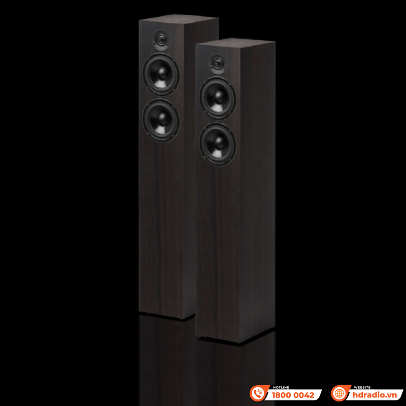 Loa Pro-Ject Speaker Box 10 DS2