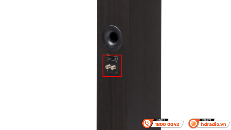 Loa Pro-Ject Speaker Box 10 DS2