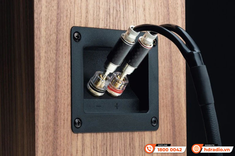 Loa Pro-Ject Speaker Box 10 S2