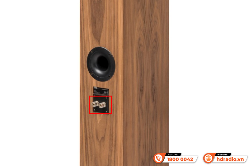 Loa Pro-Ject Speaker Box 15 DS2