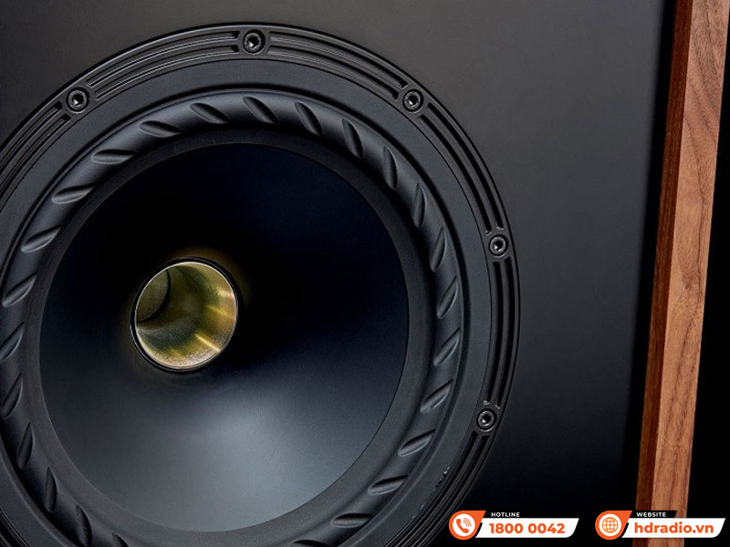 Củ Loa Fyne Audio Classic 10