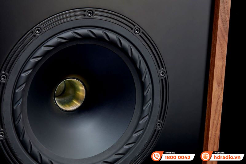 BassTrax Loa Fyne Audio Classic 12