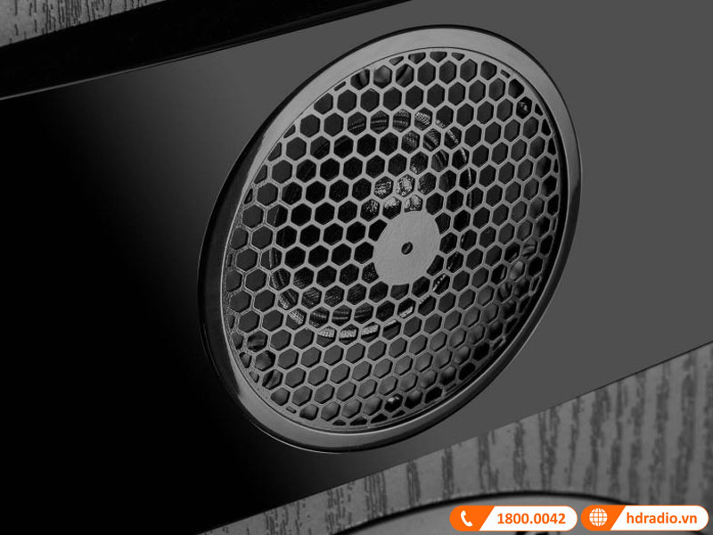 Công nghệ Loa Fyne Audio F301i