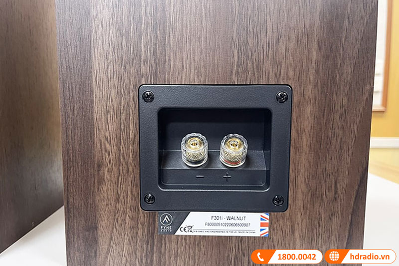 Kết nối Loa Fyne Audio F301i