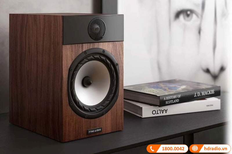Thiết kế Loa Fyne Audio F301i