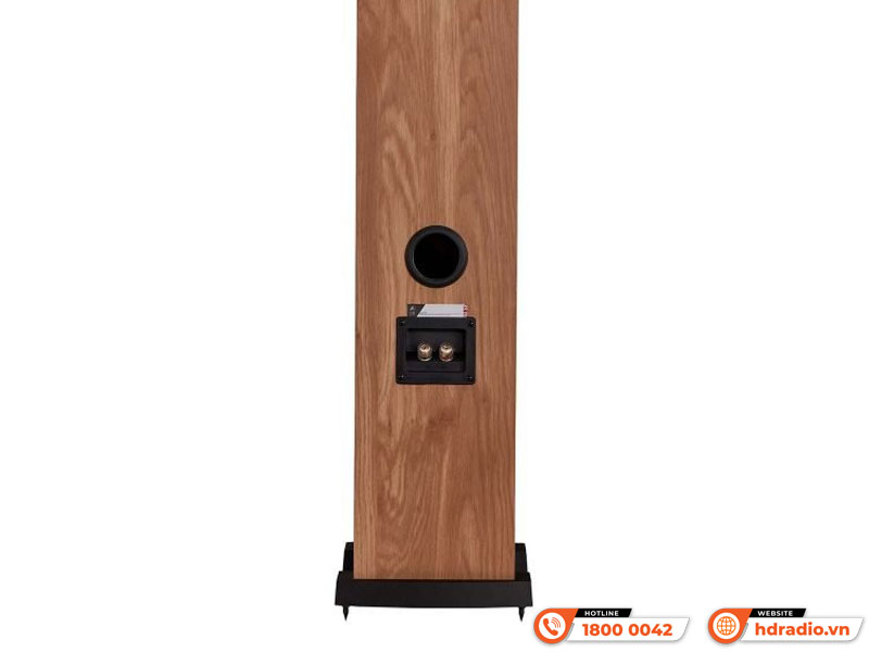 Kết nối Loa Fyne Audio F302i