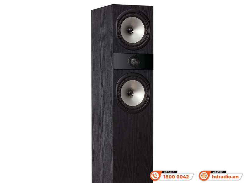 Công nghệ Loa Fyne Audio F303i