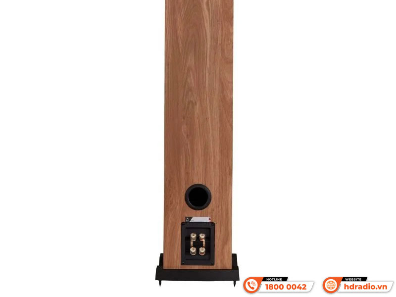 Kết nối Loa Fyne Audio F303i