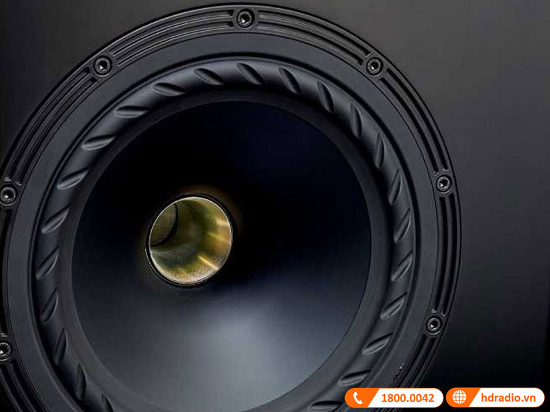 Loa bass Loa Fyne Audio F501SP