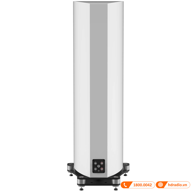 Loa Fyne Audio F703, Bass 25cm, Công suất RMS 125W, Độ nhạy 94 dB, Trở kháng 8 Ohms-4