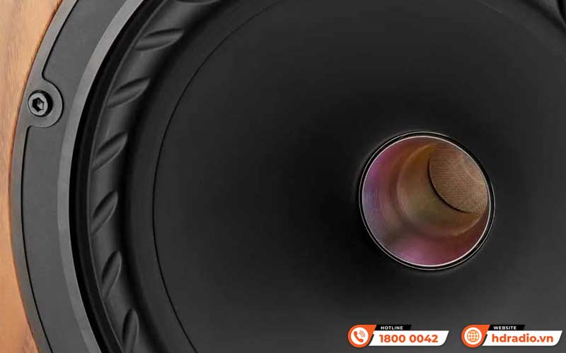 Củ Loa Fyne Audio F703SP