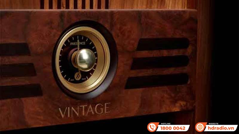 Điều khiển Loa Fyne Audio Vintage 15