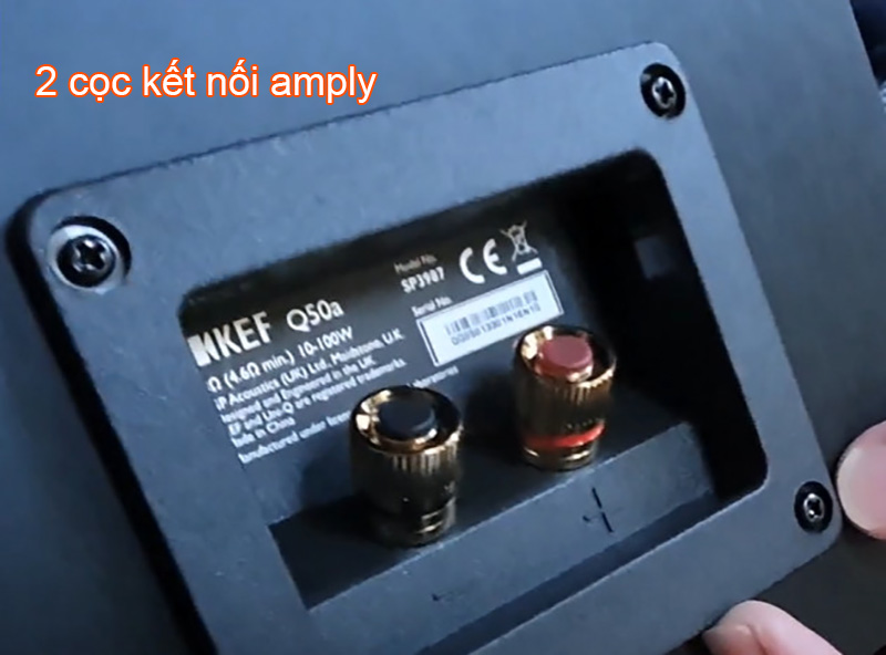 2 coc ket noi amply cua loa kef q50a