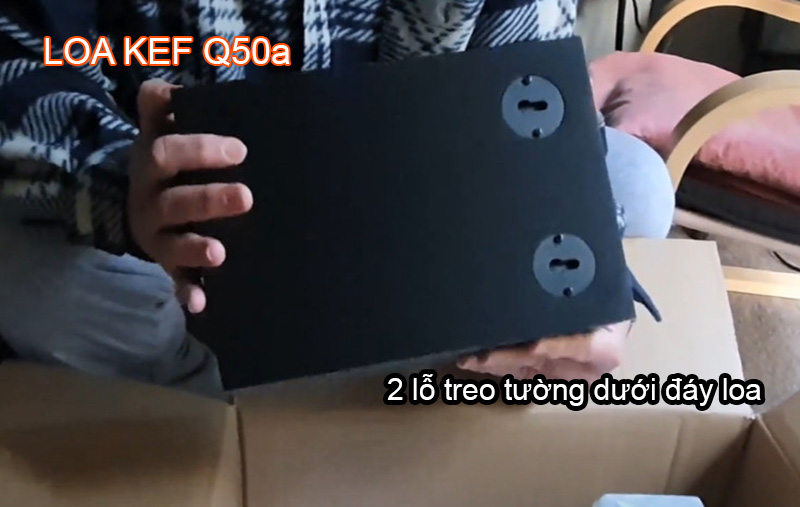 lap dat loa kef q50a