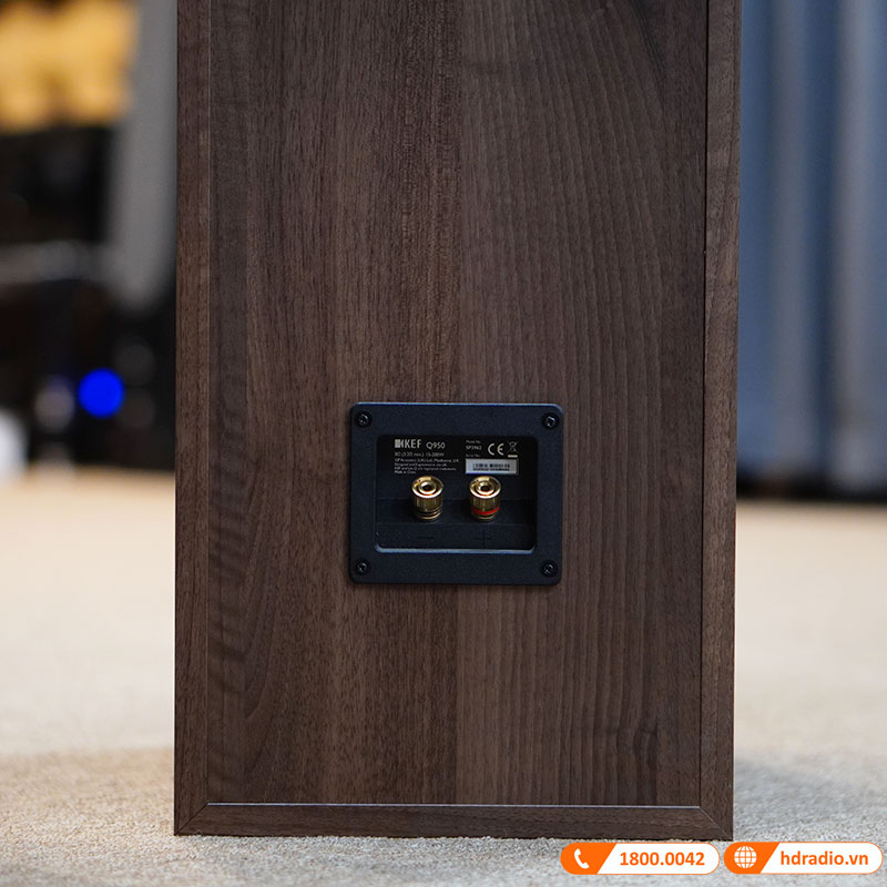 Cận cảnh cổng kết nối Loa KEF Q950