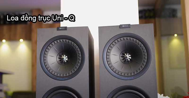 loa kef q950 trang bi hai loa dong truc uni - q