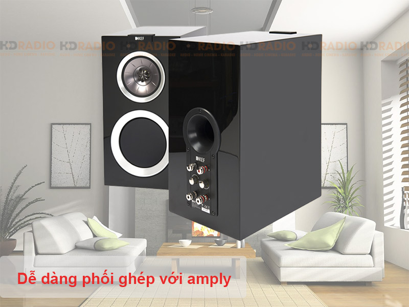 Kha nang ket noi cua loa KEF R300