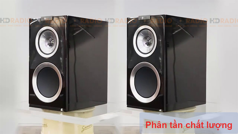 Phan tan loa KEF R300