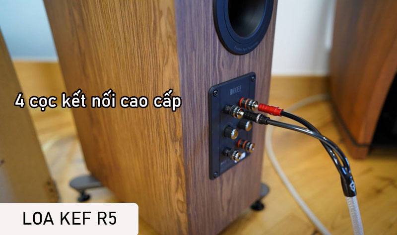 4 coc ket noi loa kef r5
