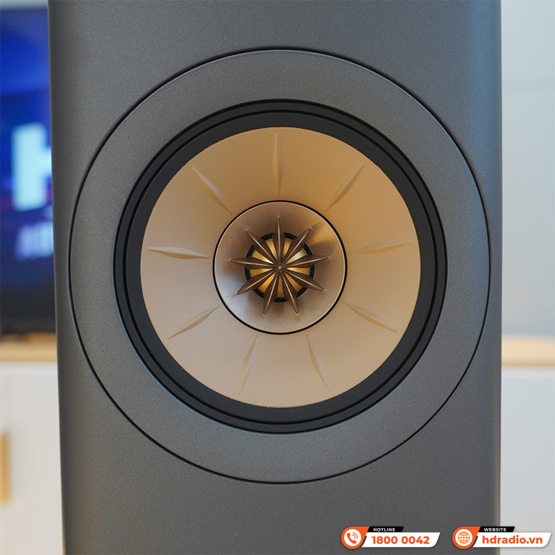 Loa KEF LS60 Wireless, Uni-Q 12 MAT, Công suất 1400W, Có Bluetooth, Wifi-5