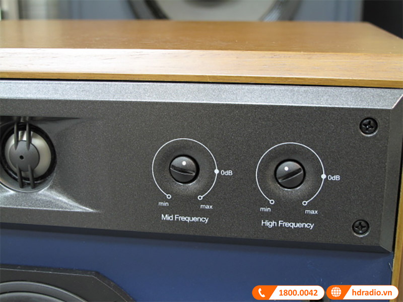 tùy chỉnh đa dạng