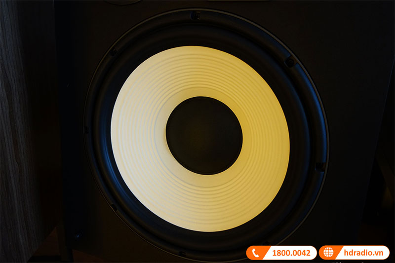 loa bass đường kính 300mm