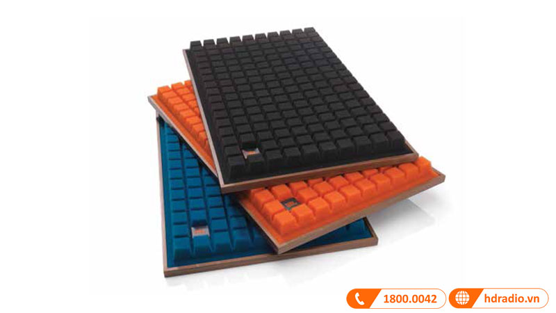 đa dạng màu sắc ê căng