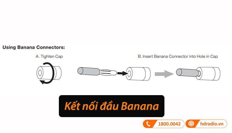 kết nối búp chuối