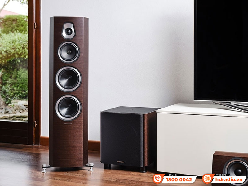 Mạch amply Loa sub Sonus faber Gravis III