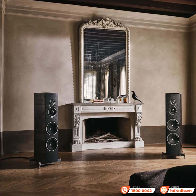 Loa Sonus faber Amati G5, Bass 22cm x 2, 50W, 91 dB, 4 Ohms, 28 - 35.000 Hz-6