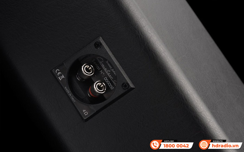 Loa Sonus faber Chameleon C