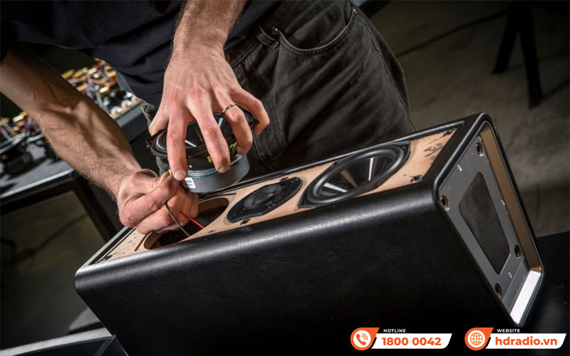 Loa Sonus faber Chameleon C