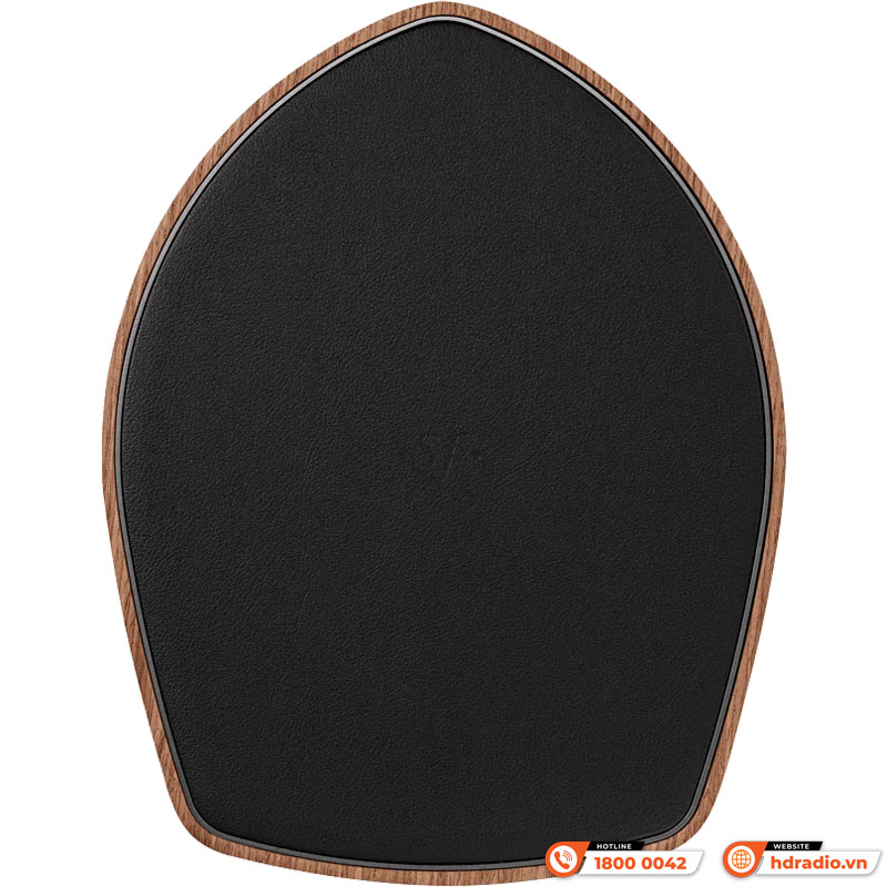 Loa Sonus faber Duetto, 105dB, 37 Hz –30.000 Hz, DAC, Apple AirPlay 2, Chromecast, Bluetooth, Wifi, Optical, HDMI-4