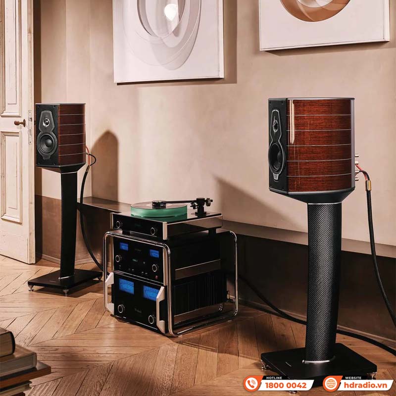 Loa Sonus Faber Guarneri G5, Bass 15 cm, 125W-14