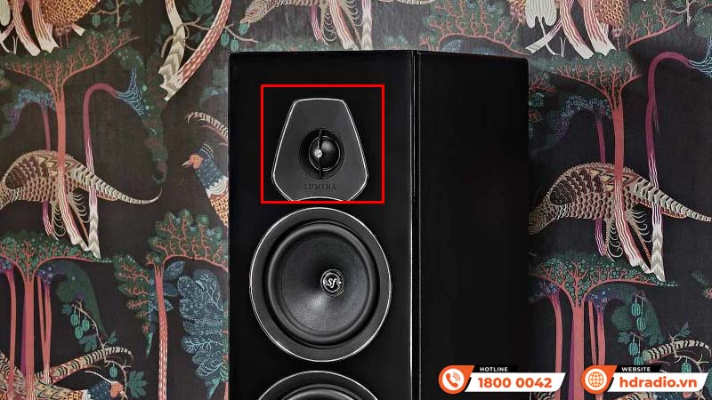 Loa Sonus faber Lumina V