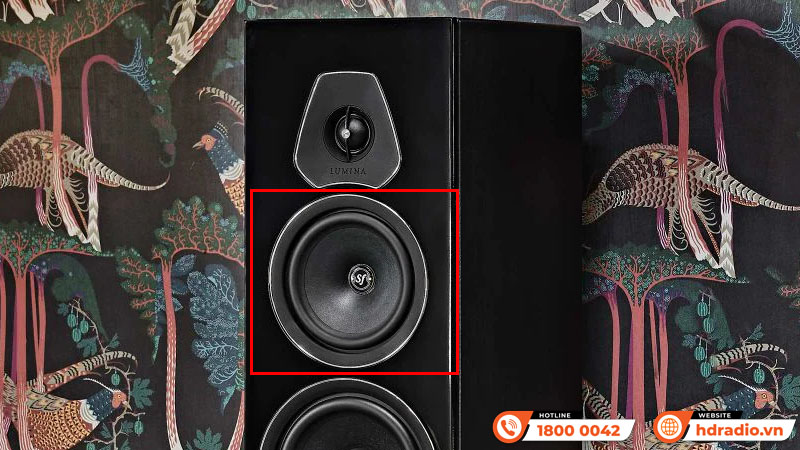 Loa Sonus faber Lumina V