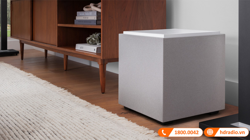 cau truc am thanh loa sub definitive technology descend dn10