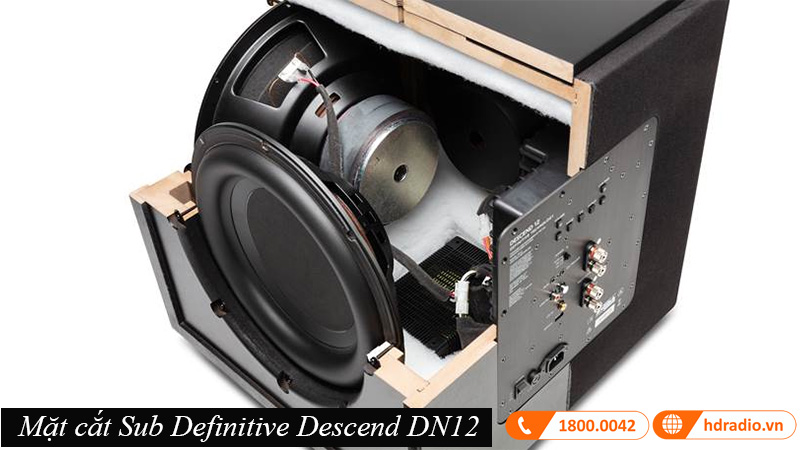 Loa sub Definitive Descend DN12