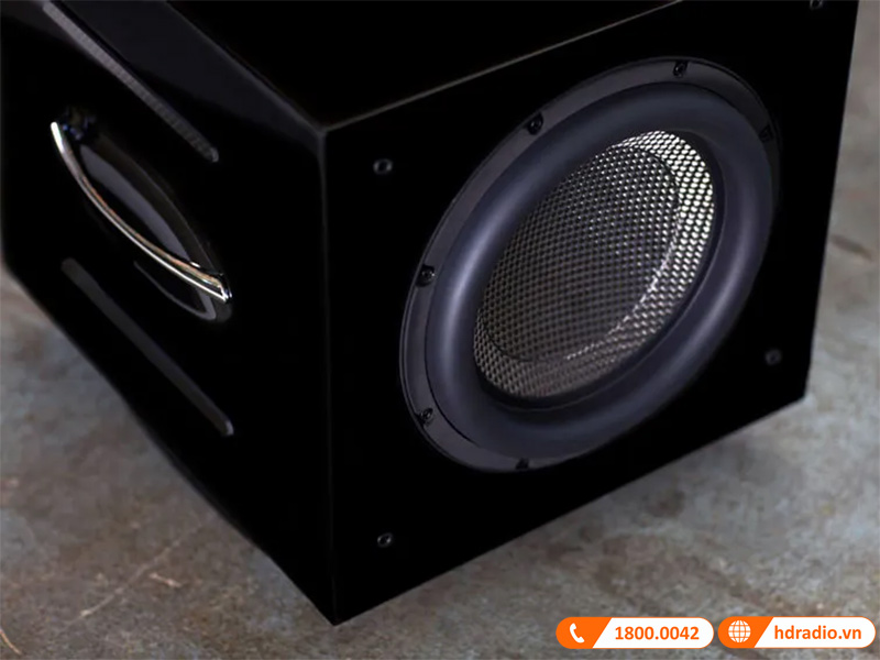 Loa sub REL Carbon Special