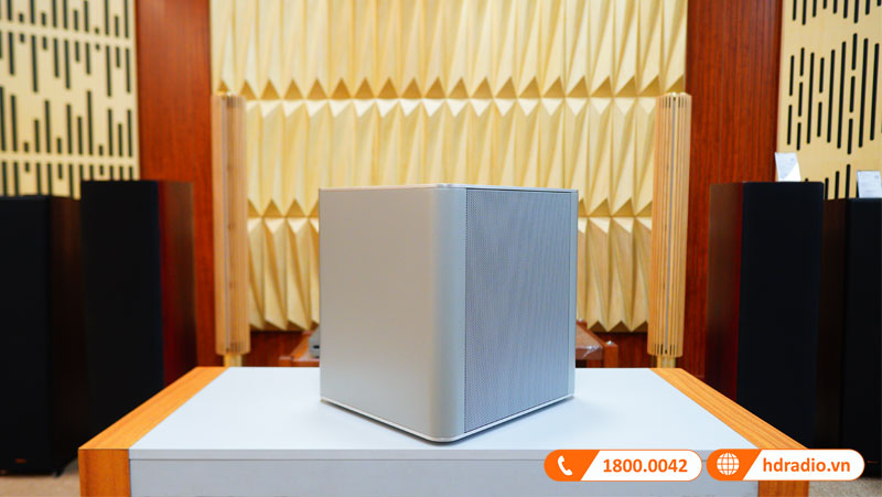 Anh thuc te 2 Loa Piega PS 101 